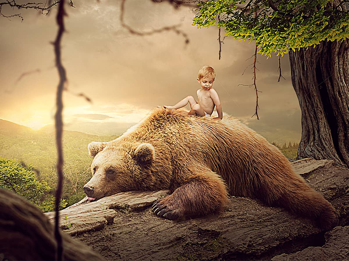 Portfolio Website Designs Olga Maksymova