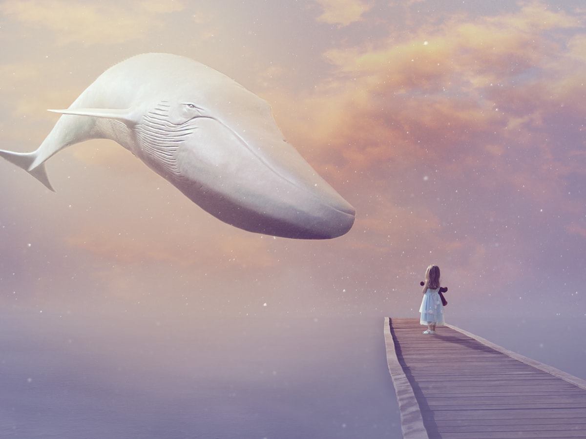 Portfolio Website Designs Olga Maksymova